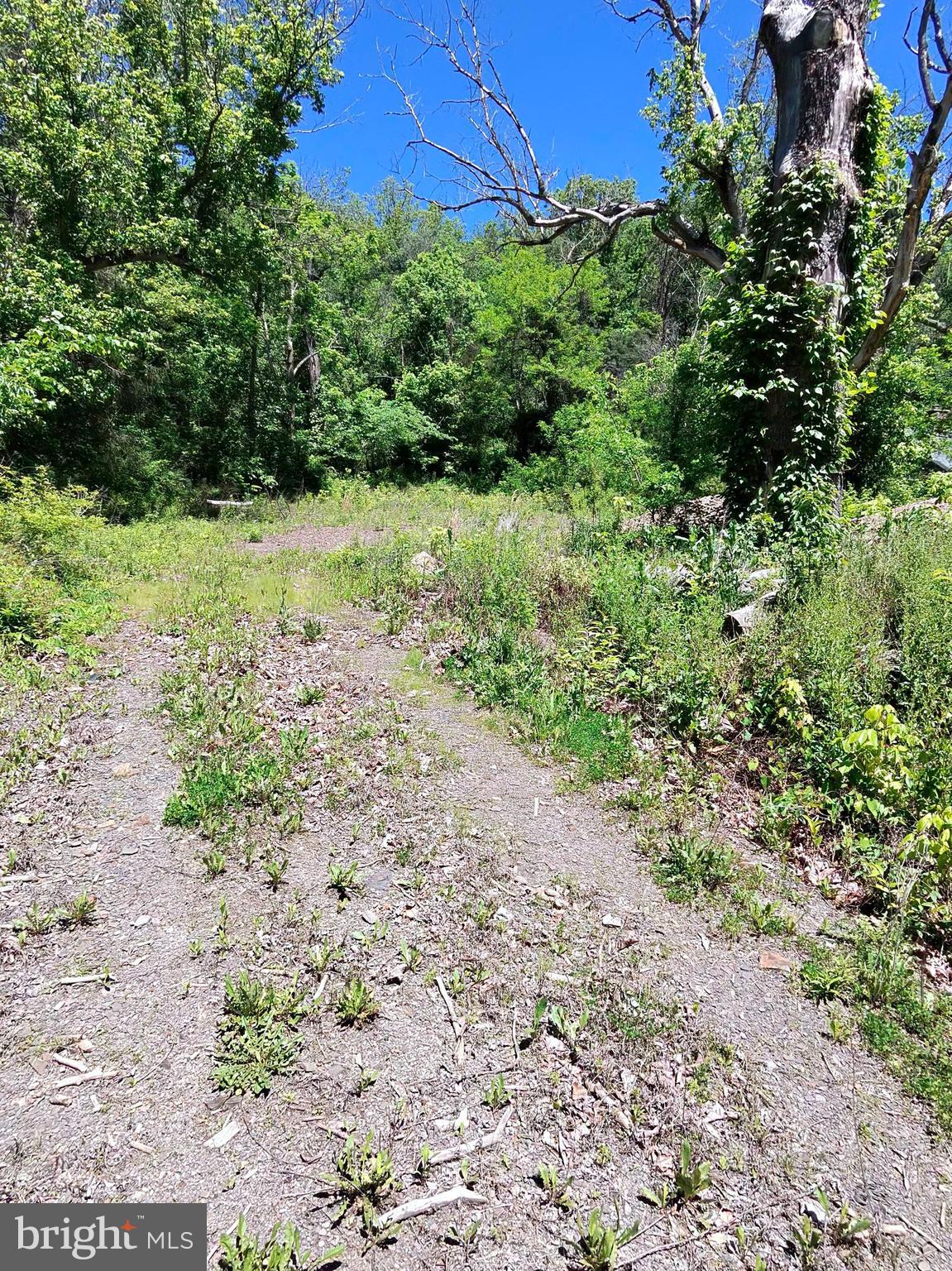 1461 Springfield Pike Springfield, WV 26763 - Photo 3 of 15