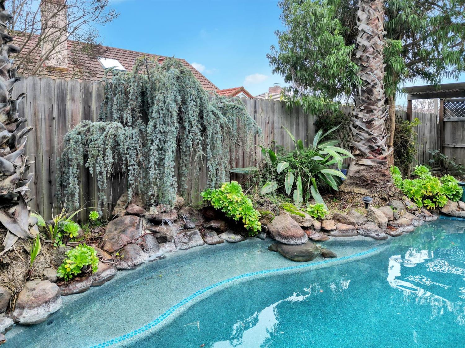 5316 Engle Road Carmichael, CA 95608 - Photo 20 of 47 a bunch of flowers are in a garden