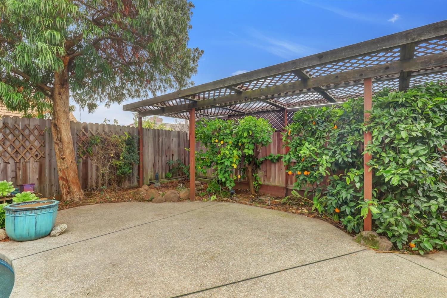 5316 Engle Road Carmichael, CA 95608 - Photo 22 of 47 a couple of potted plants in front of door