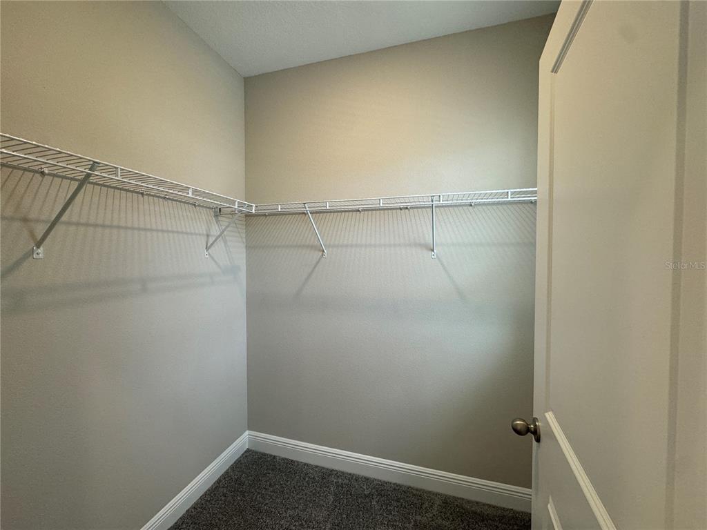 16362 Hamlin Hills Road Winter Garden, FL 34787 - Photo 25 of 31