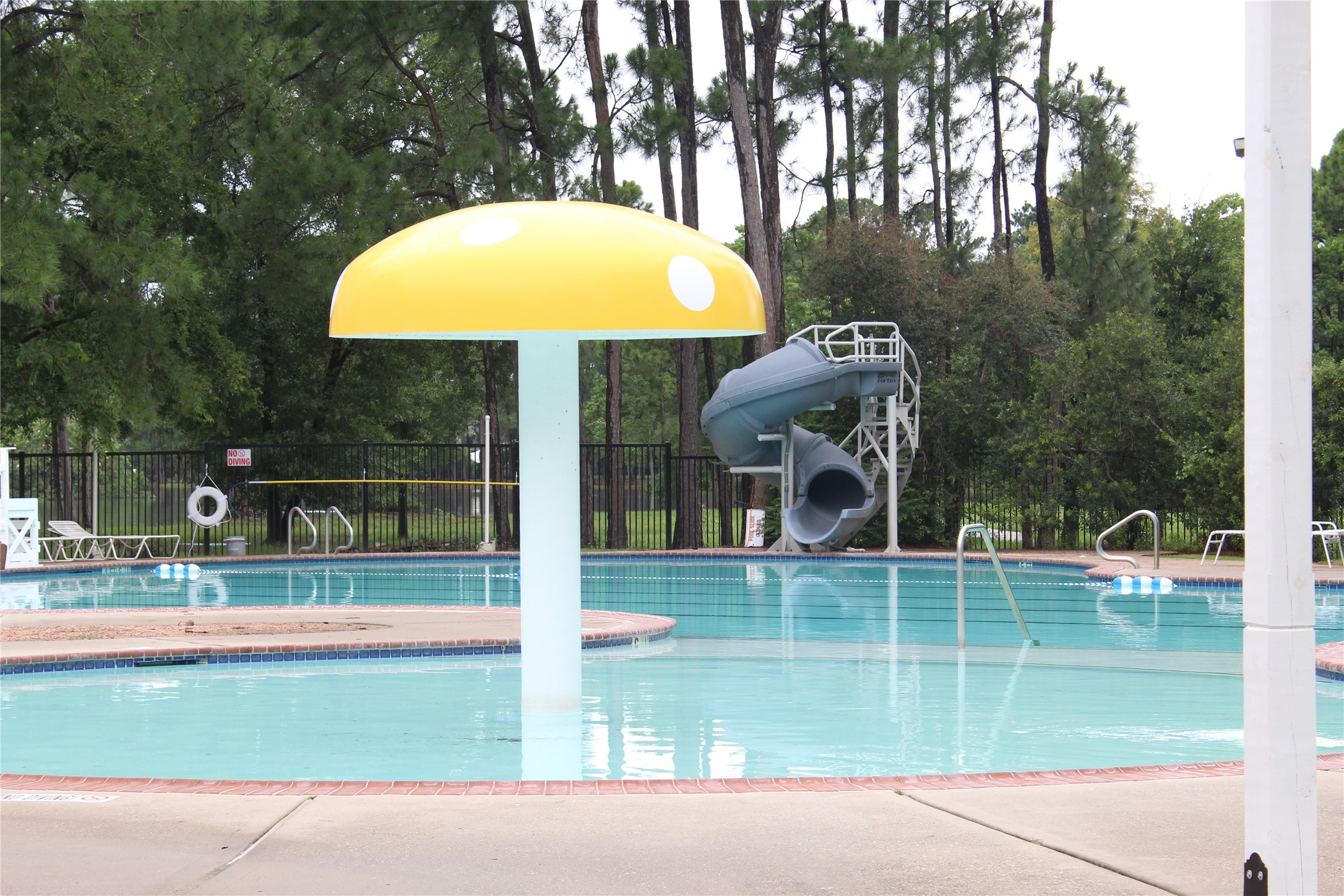 20110 Stormy Pine Lane Spring, TX 77379 - Photo 42 of 44 One of two community pools.