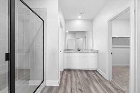 2004 Hardwick Drive Anna, TX 75409 - Photo 10 of 18 a bathroom with a sink and mirror
