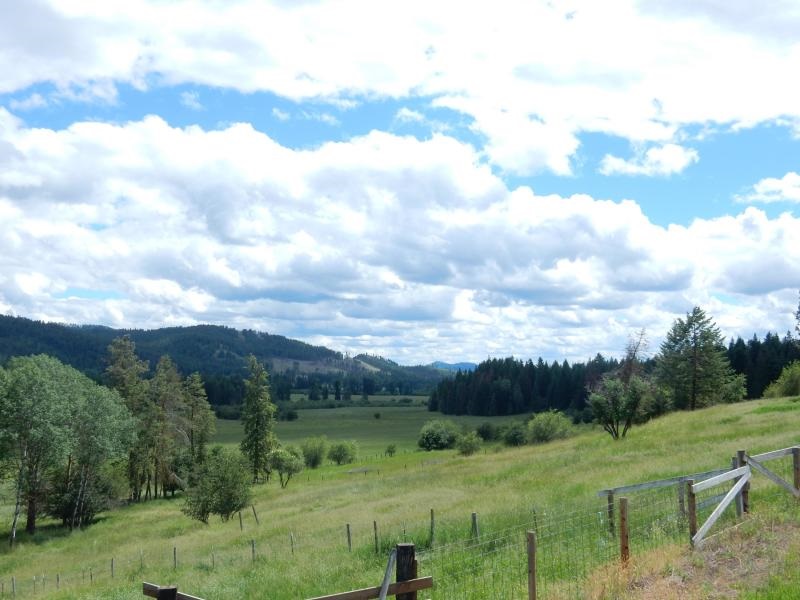 1592 Kings Lake Road Usk, WA 99180 - Photo 11 of 11