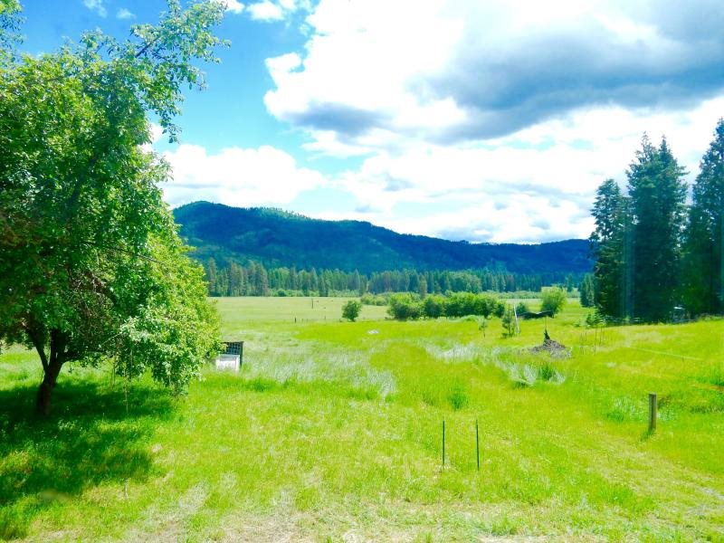 1592 Kings Lake Road Usk, WA 99180 - Photo 10 of 11