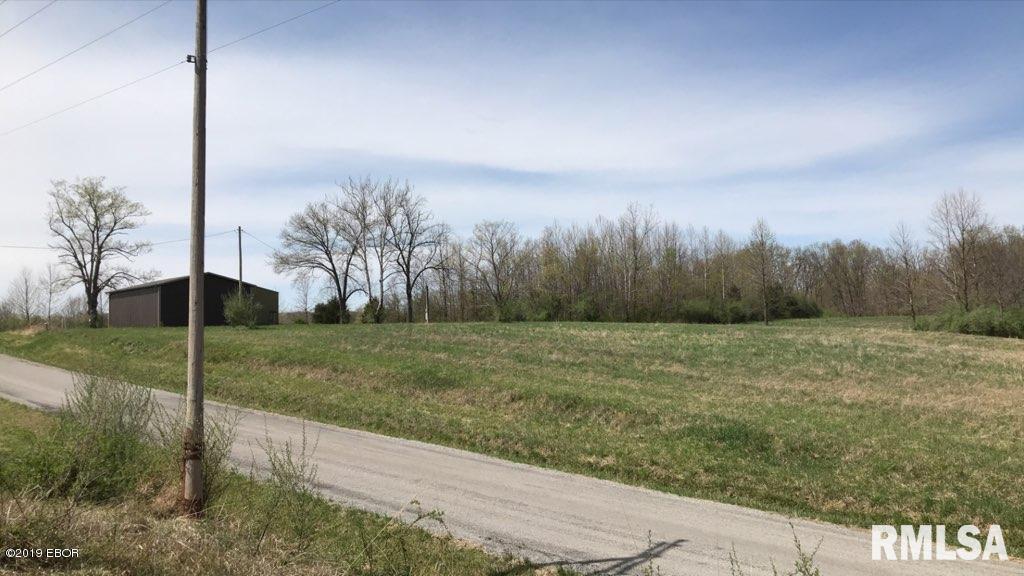 13668 East Violet Road Mount Vernon, IL 62864 - Photo 11 of 35