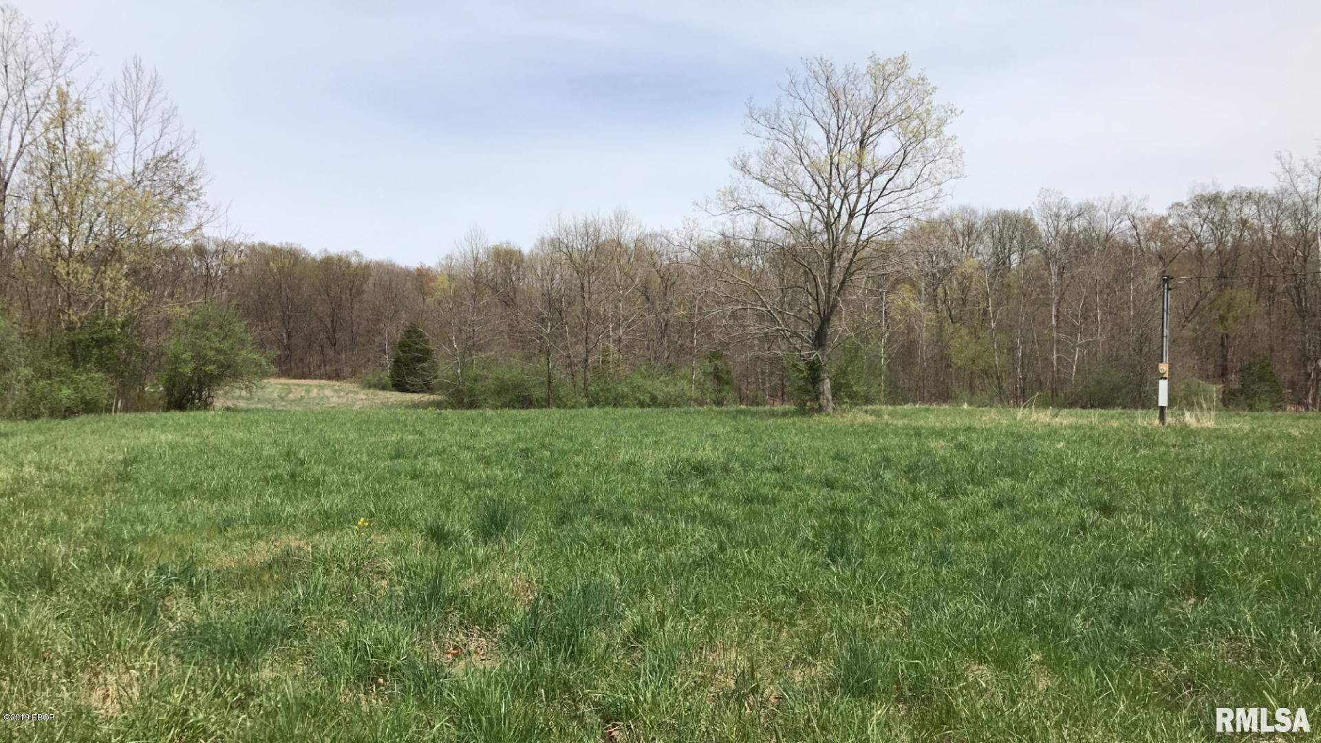 13668 East Violet Road Mount Vernon, IL 62864 - Photo 13 of 35