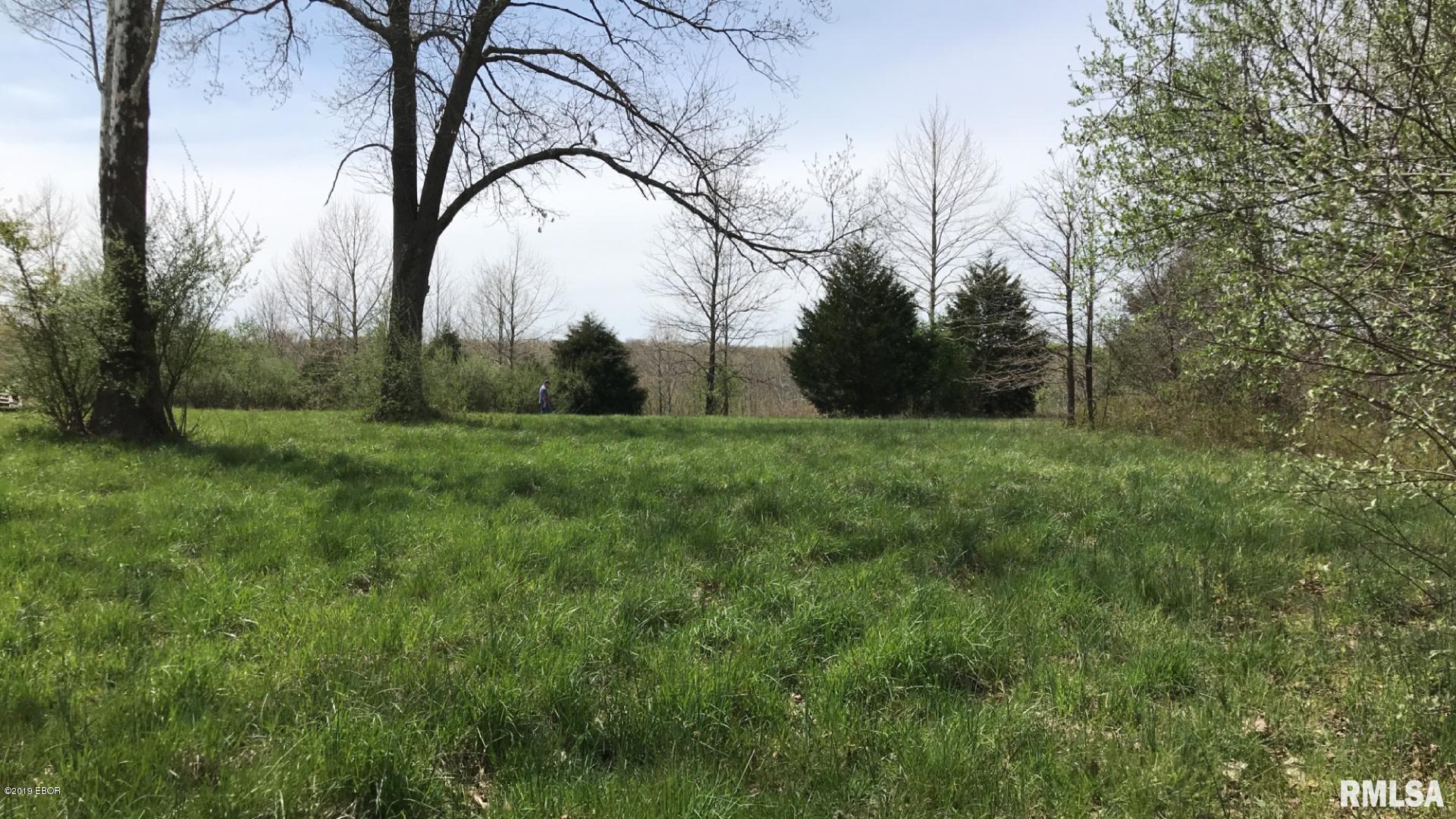 13668 East Violet Road Mount Vernon, IL 62864 - Photo 14 of 35