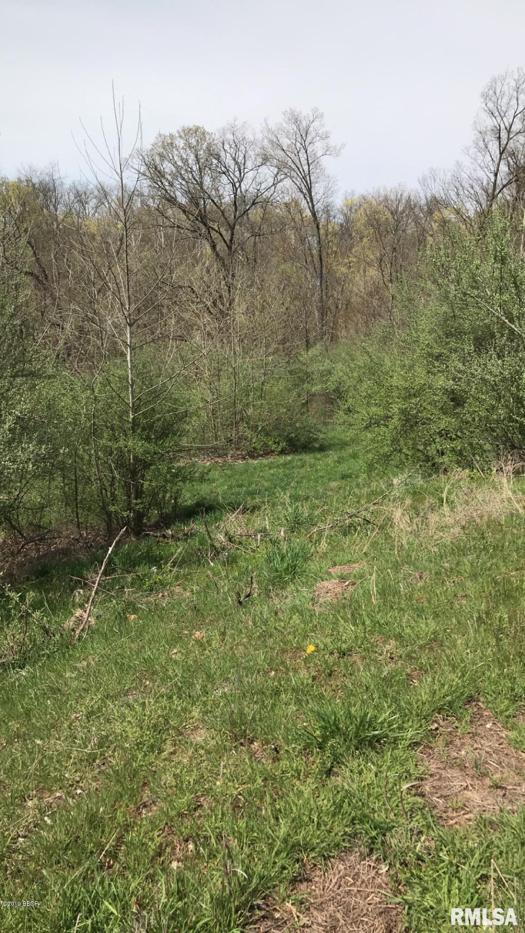 13668 East Violet Road Mount Vernon, IL 62864 - Photo 16 of 35