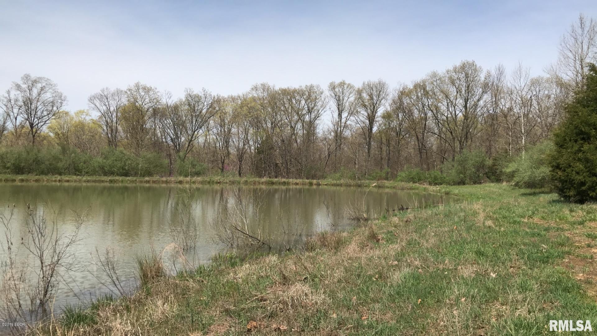 13668 East Violet Road Mount Vernon, IL 62864 - Photo 18 of 35