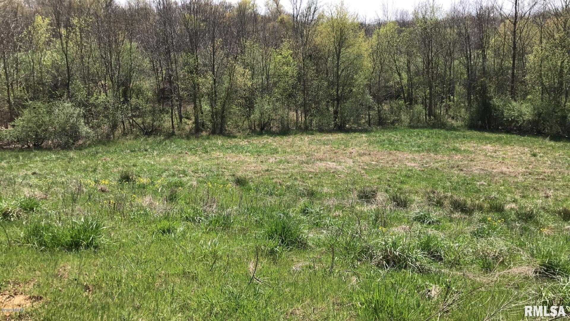 13668 East Violet Road Mount Vernon, IL 62864 - Photo 20 of 35