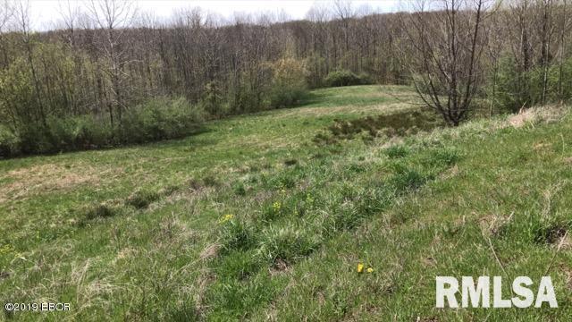 13668 East Violet Road Mount Vernon, IL 62864 - Photo 2 of 35