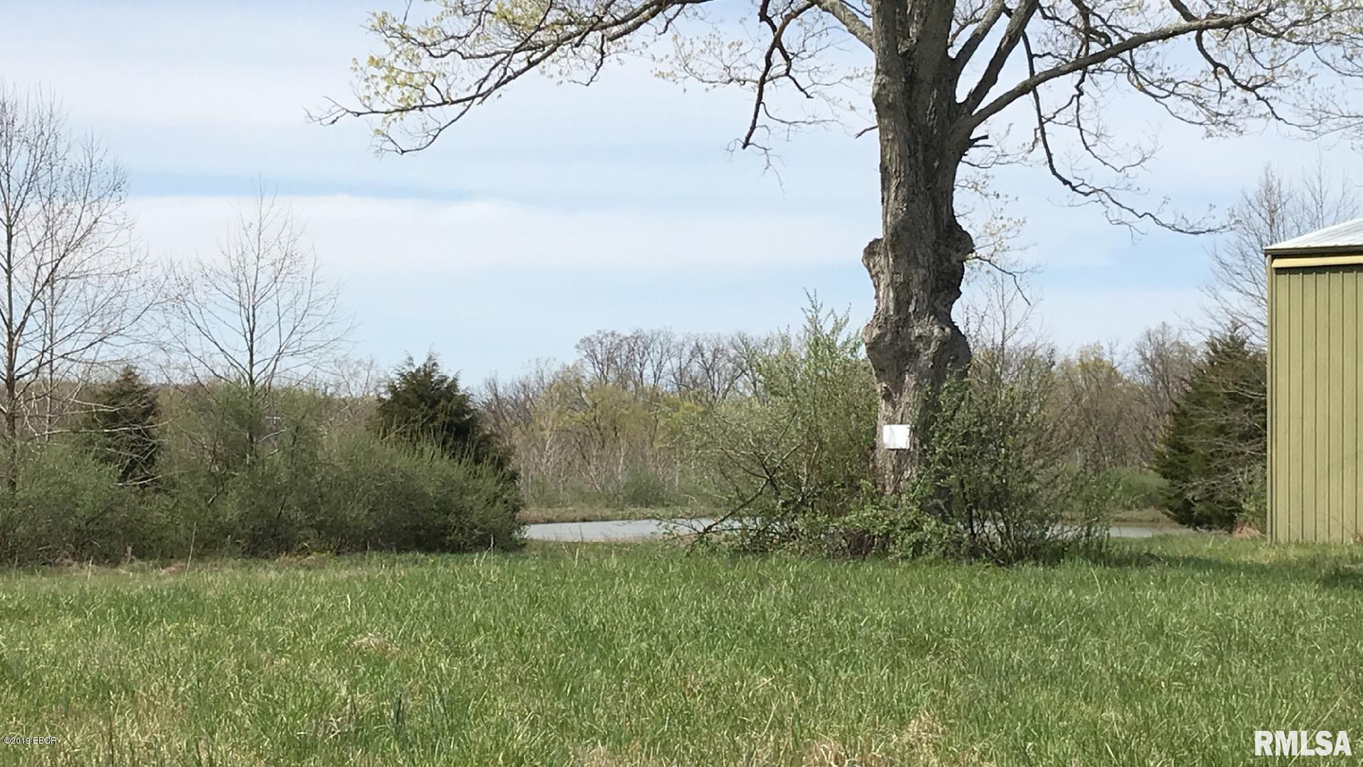 13668 East Violet Road Mount Vernon, IL 62864 - Photo 22 of 35