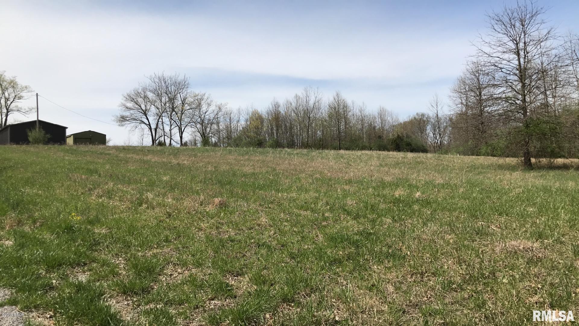 13668 East Violet Road Mount Vernon, IL 62864 - Photo 23 of 35