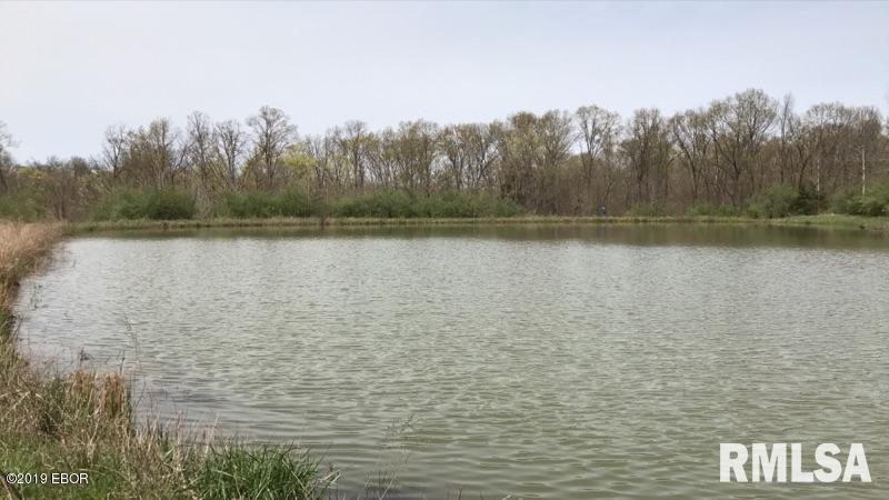 13668 East Violet Road Mount Vernon, IL 62864 - Photo 3 of 35
