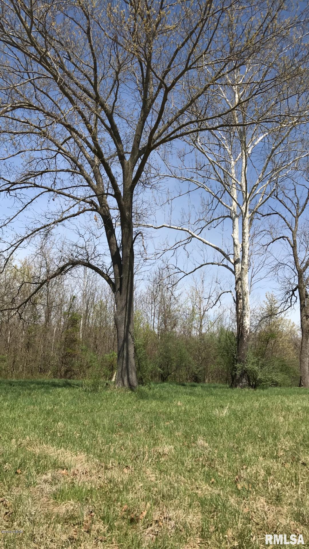 13668 East Violet Road Mount Vernon, IL 62864 - Photo 31 of 35