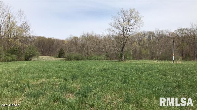 13668 East Violet Road Mount Vernon, IL 62864 - Photo 7 of 35