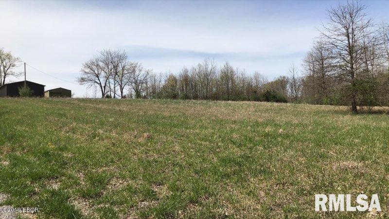 13668 East Violet Road Mount Vernon, IL 62864 - Photo 10 of 35