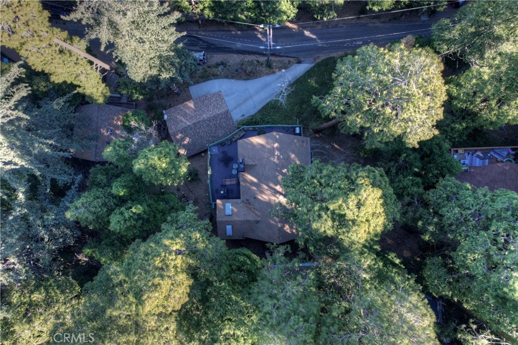 778 Deer Trail Crestline, CA 92325 - Photo 47 of 54