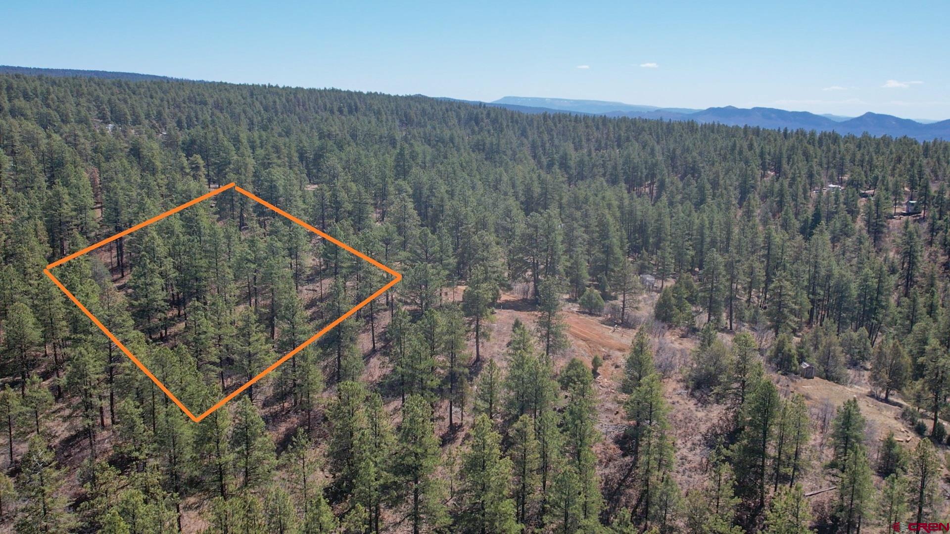 87 Engineer Point Pagosa Springs, CO 81147 - Photo 12 of 13 a view of a back yard