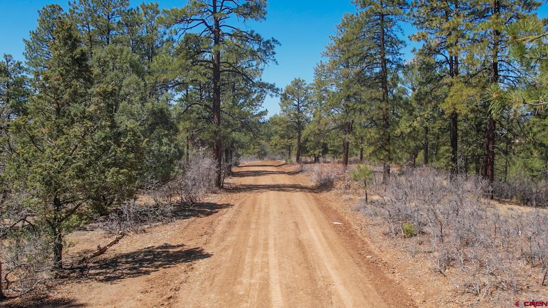 87 Engineer Point Pagosa Springs, CO 81147 - Photo 13 of 13