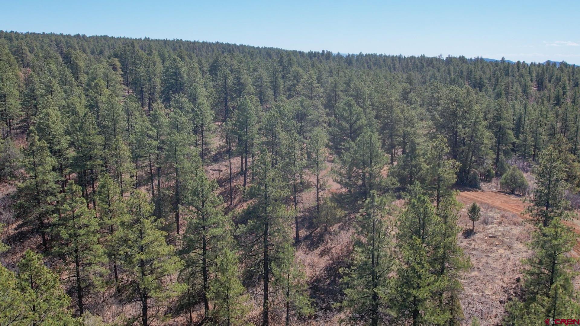 87 Engineer Point Pagosa Springs, CO 81147 - Photo 9 of 13 a view of a forest with a house