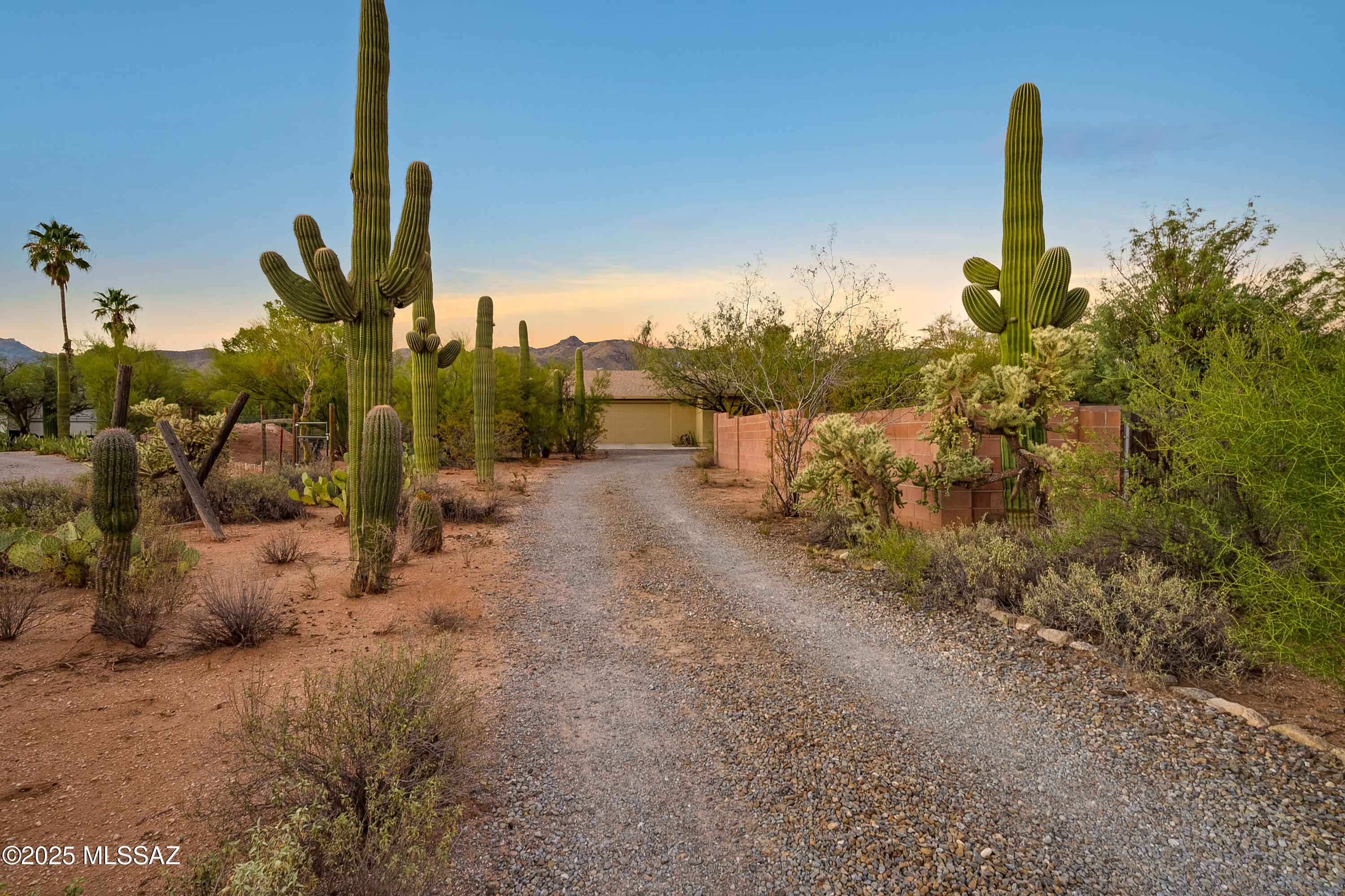 11365 East Limberlost Road Tucson, AZ 85749 - Photo 11 of 52