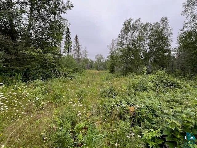 $155,000 | Xxxx Crown Creek Road, Finland, MN 55603