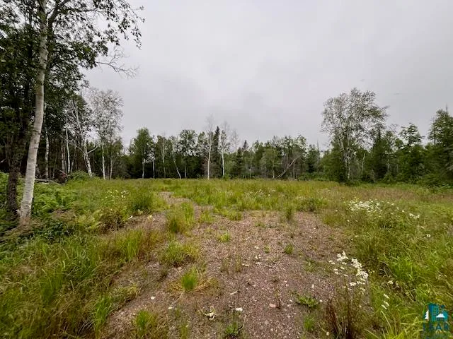 $155,000 | Xxxx Crown Creek Road, Finland, MN 55603