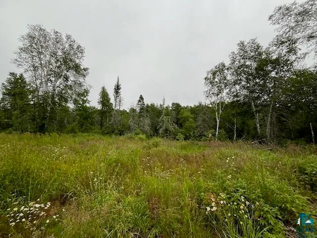 $155,000 | Xxxx Crown Creek Road, Finland, MN 55603