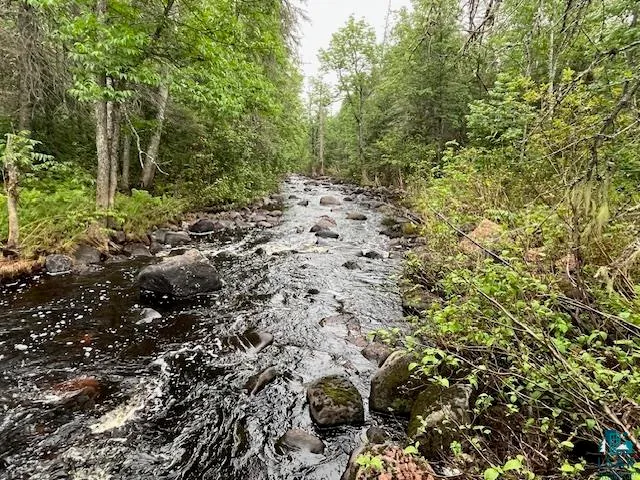 $155,000 | Xxxx Crown Creek Road, Finland, MN 55603