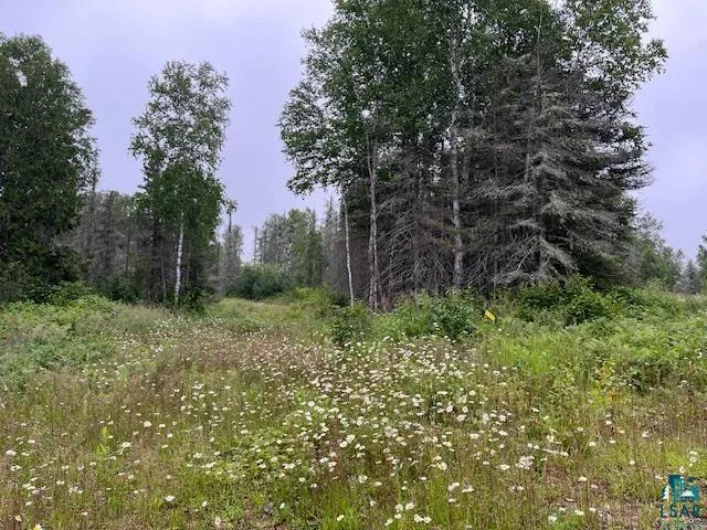 $155,000 | Xxxx Crown Creek Road, Finland, MN 55603