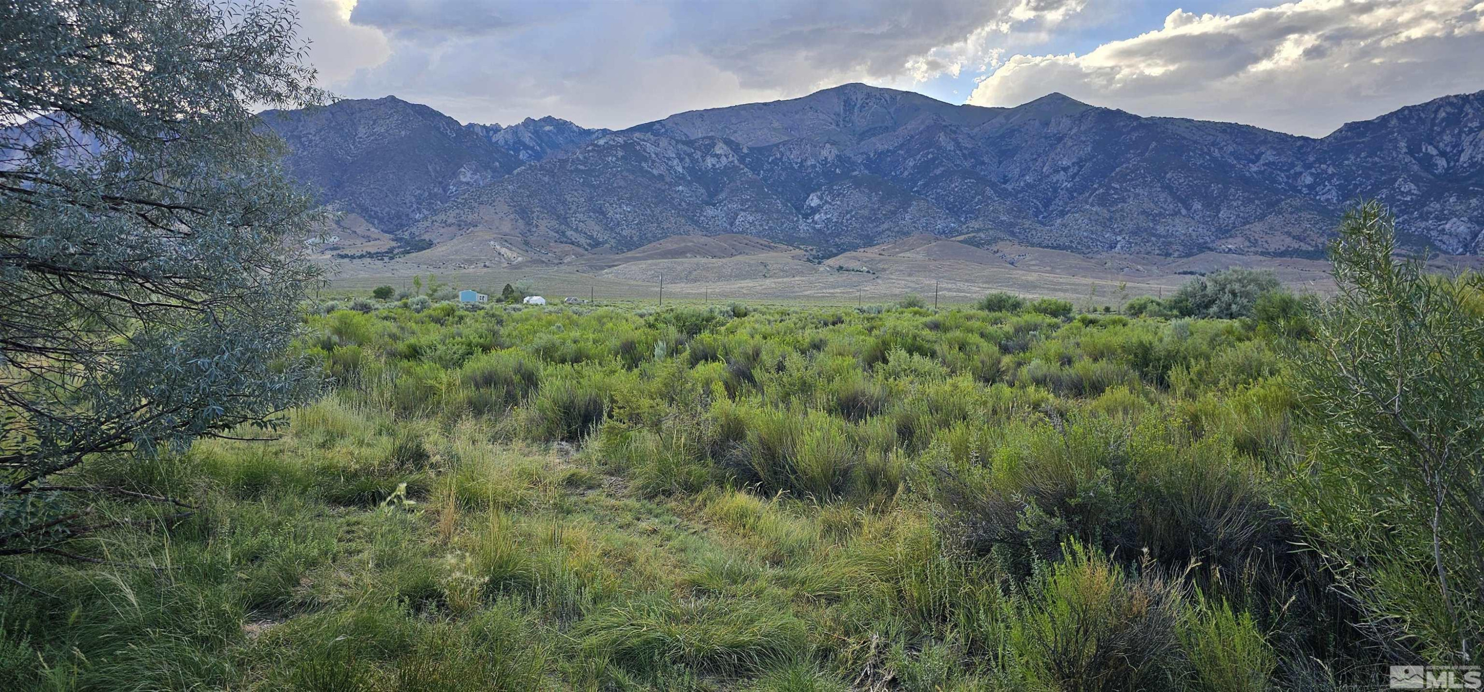 552 Gendron Road West Round Mountain, NV 89045 - Photo 17 of 37 Photo 17