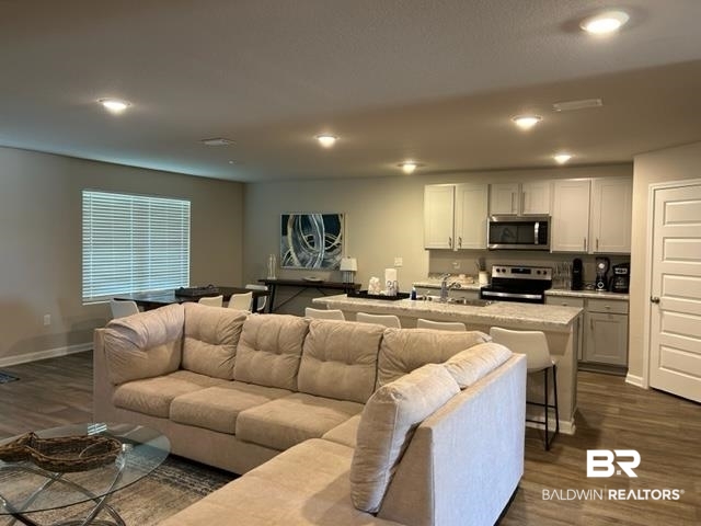 7409 Brompton Drive Foley, AL 36535 - Photo 2 of 18 Living room featuring dark wood-type flooring and sink