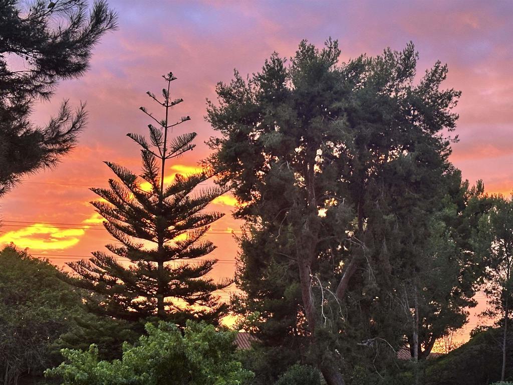220 Shorehang Lane Encinitas, CA 92024 - Photo 25 of 27 a view of a tree in a field with a tree