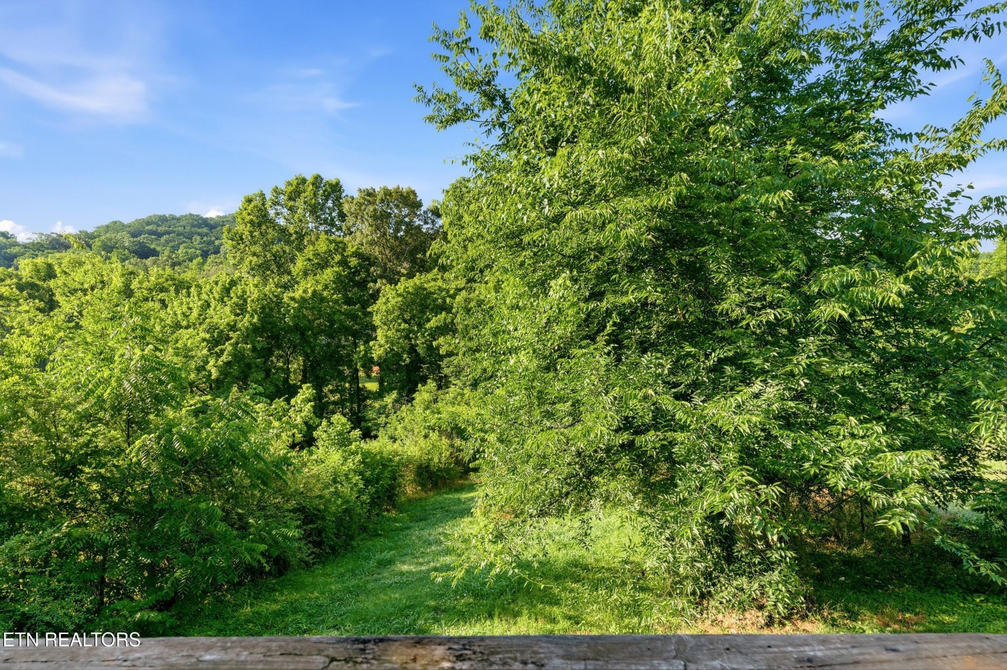 6017 Rudder Road Knoxville, TN 37920 - Photo 17 of 25 Gallery Image 17