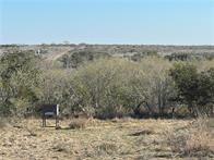 0 Blackbrush Spur Road George West, TX 78022 - Photo 8 of 11