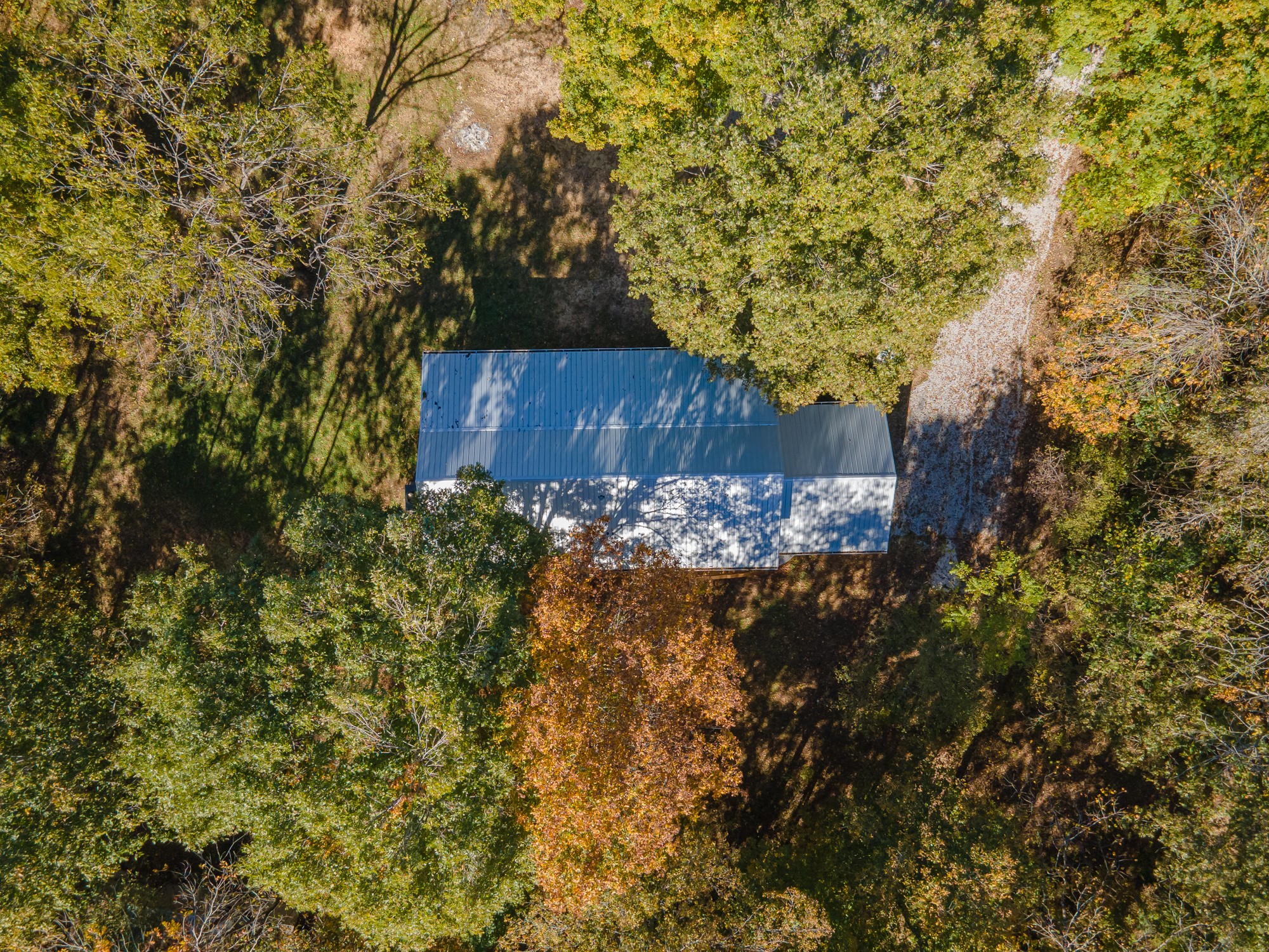 8240 Charlie Brown Road Centerville, TN 37033 - Photo 11 of 72 a view of a tree with a yard