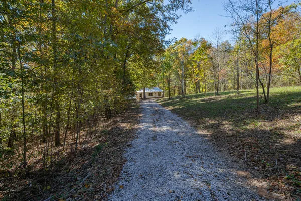 a house with trees in front of it