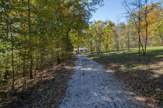 a house with trees in front of it
