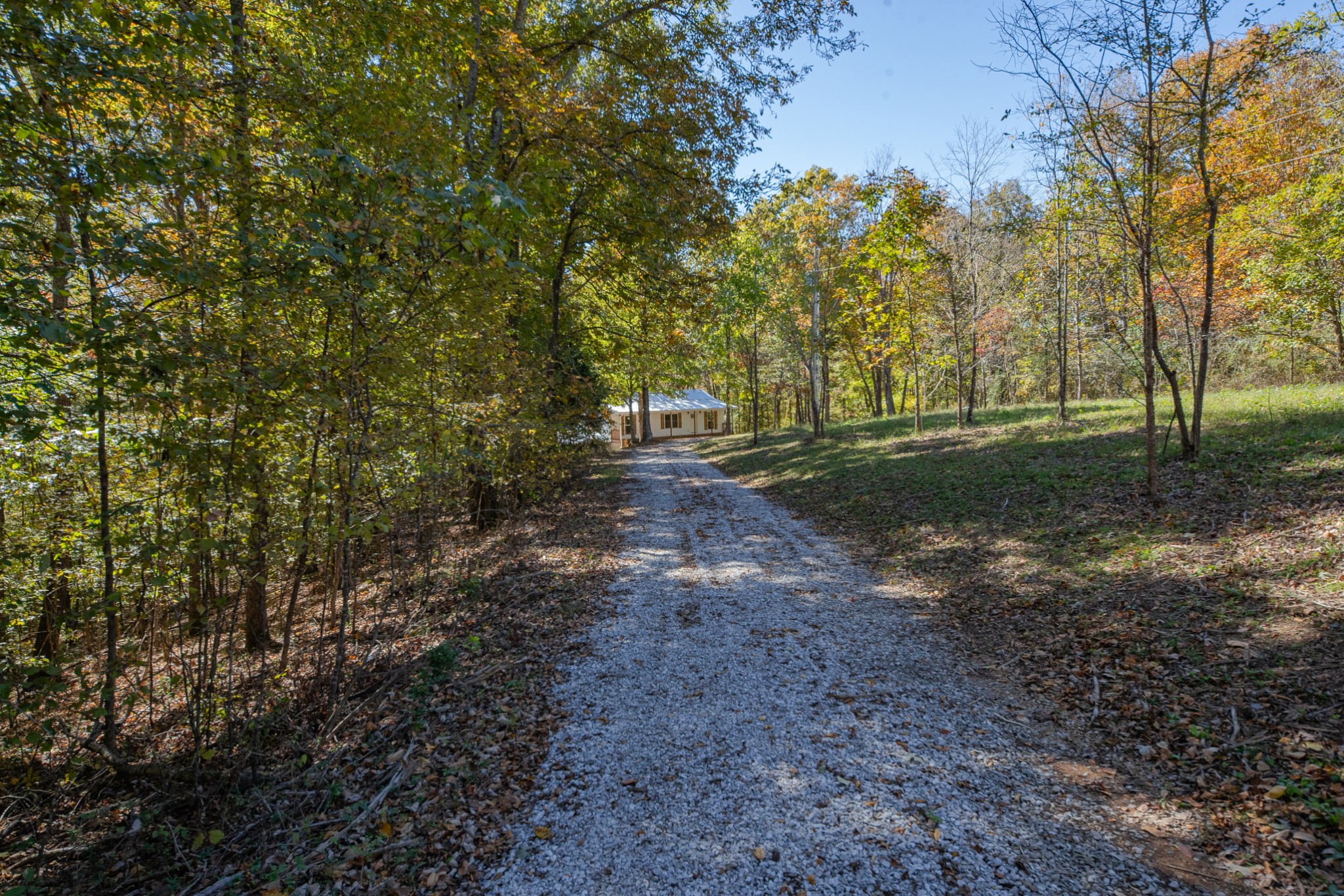 8240 Charlie Brown Road Centerville, TN 37033 - Photo 4 of 72 a view of dirt yard with trees