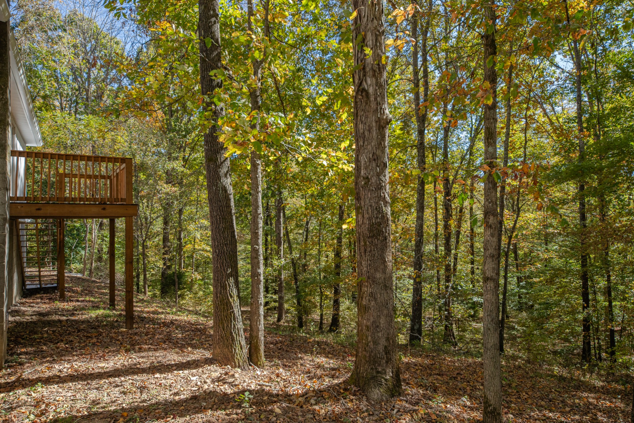 8240 Charlie Brown Road Centerville, TN 37033 - Photo 62 of 72