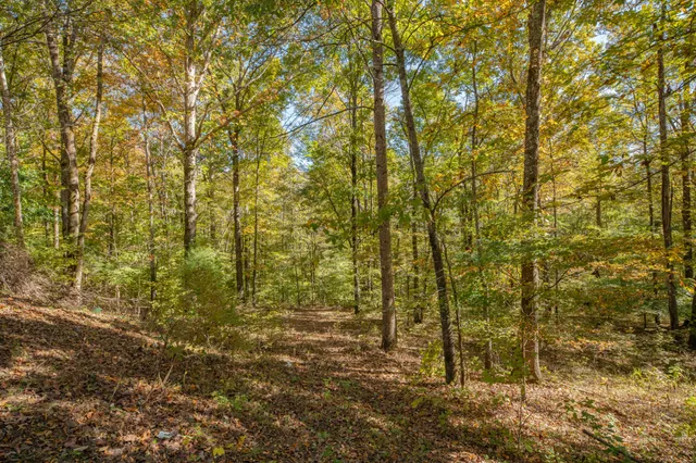 $350,000 | 8240 Charlie Brown Road, Centerville, TN 37033