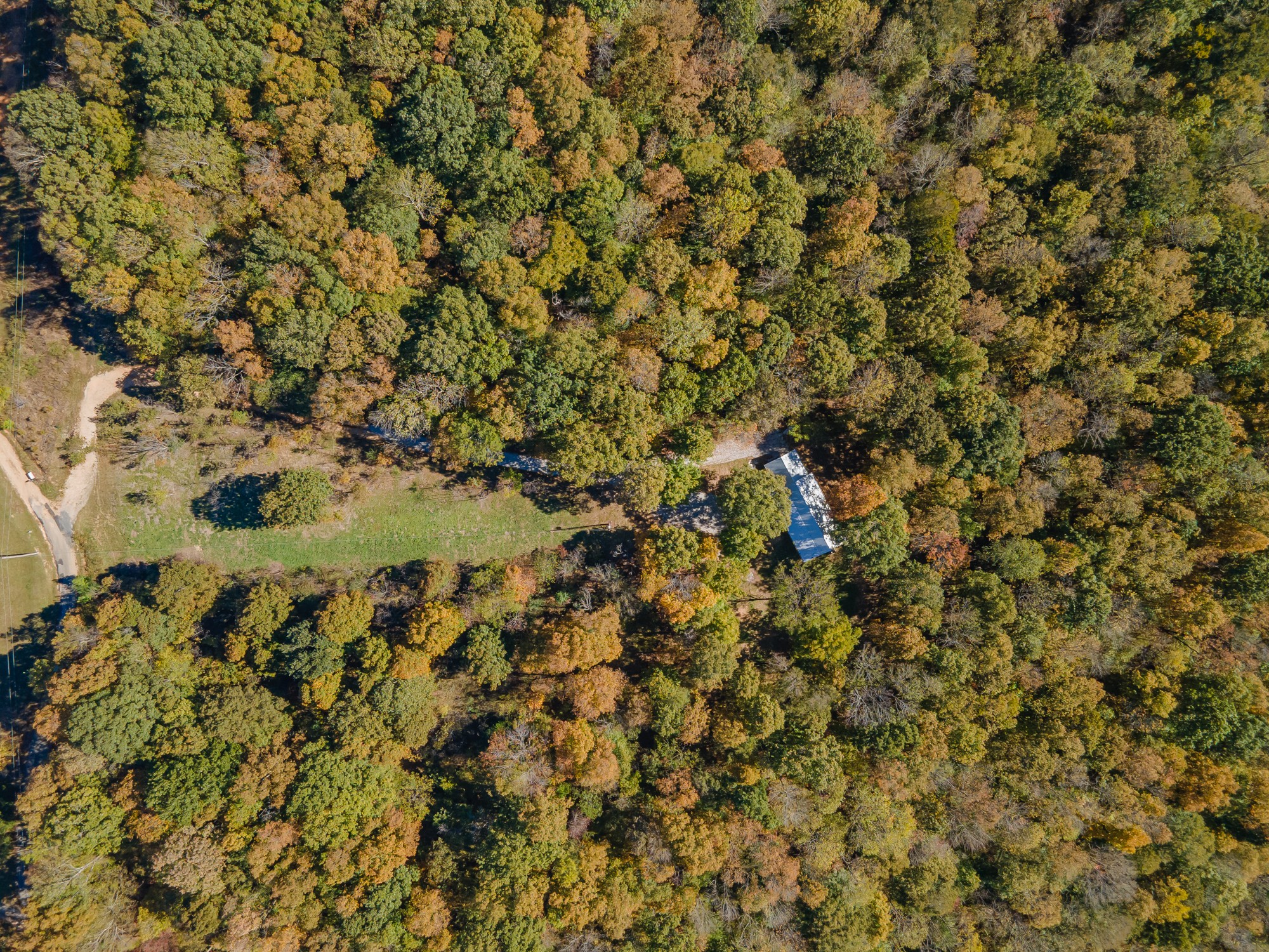 8240 Charlie Brown Road Centerville, TN 37033 - Photo 65 of 72