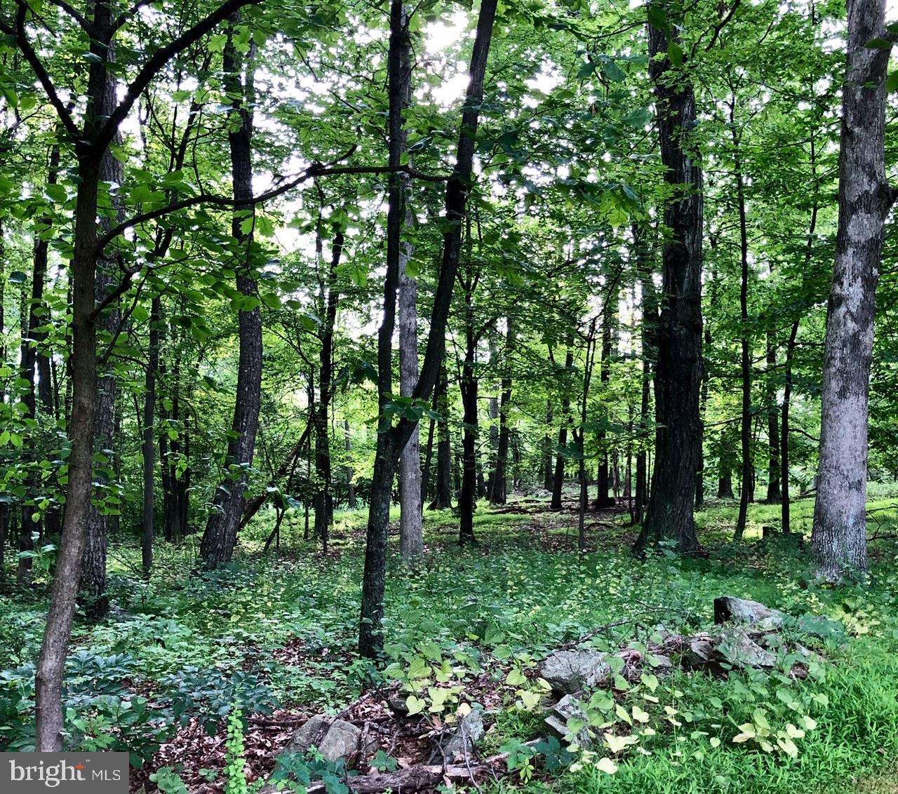 8 Buck Lantz Road Sabillasville, MD 21780 - Photo 2 of 3