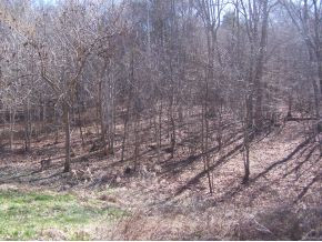 Lot 14 Imperial Ridge, Unit 14 Butler, TN 37640 - Photo 1 of 1 Photo 1