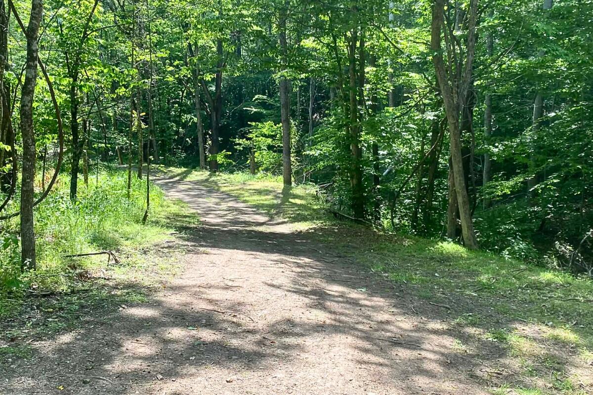 3994 Yates Road Shawsville, VA 24162 - Photo 3 of 40 land for sale in shawsville va 25