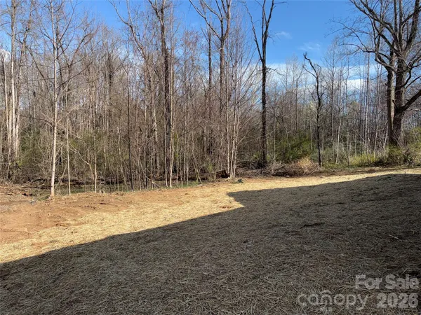 a view of dirt yard with large trees