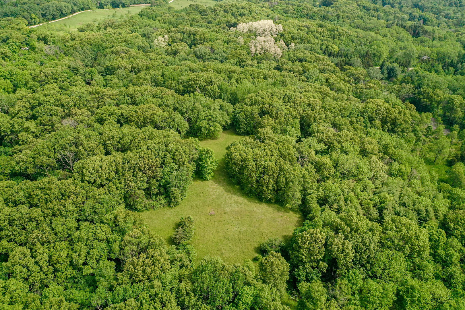 0 Three Mile Road Savanna, IL 61074 - Photo 1 of 32 a view of a lush green forest