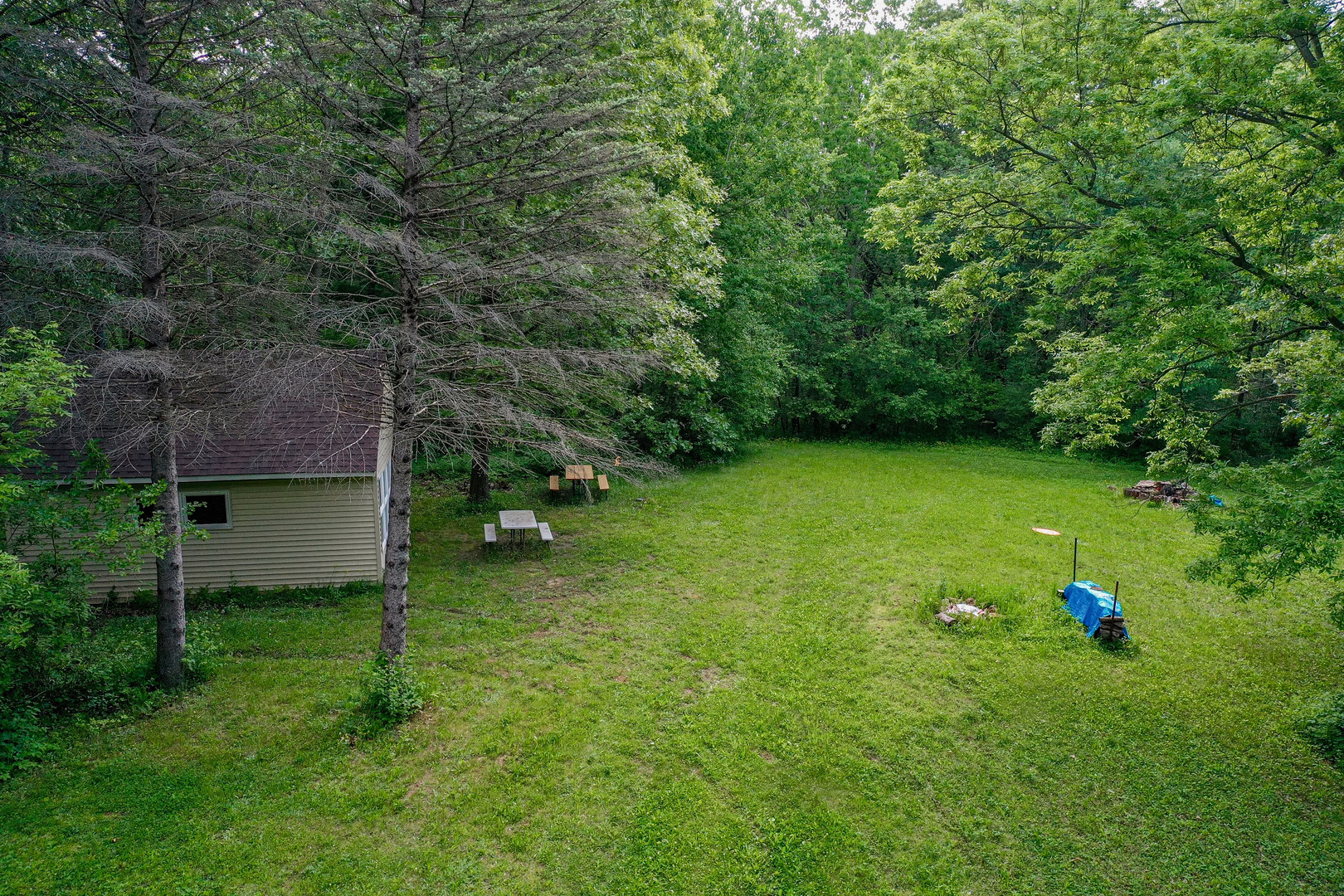 0 Three Mile Road Savanna, IL 61074 - Photo 13 of 32 a backyard of a house with plants and large tree