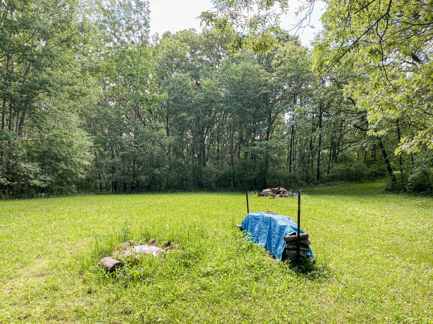 0 Three Mile Road Savanna, IL 61074 - Photo 15 of 32 a view of a backyard